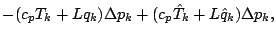 $\displaystyle - (c_p T_{k} + L q_{k}) \Delta p_{k}
+ (c_p \hat{T}_{k} + L \hat{q}_{k}) \Delta p_{k},$